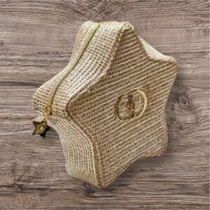 Dior 2025 Holiday Star Case / Beauty